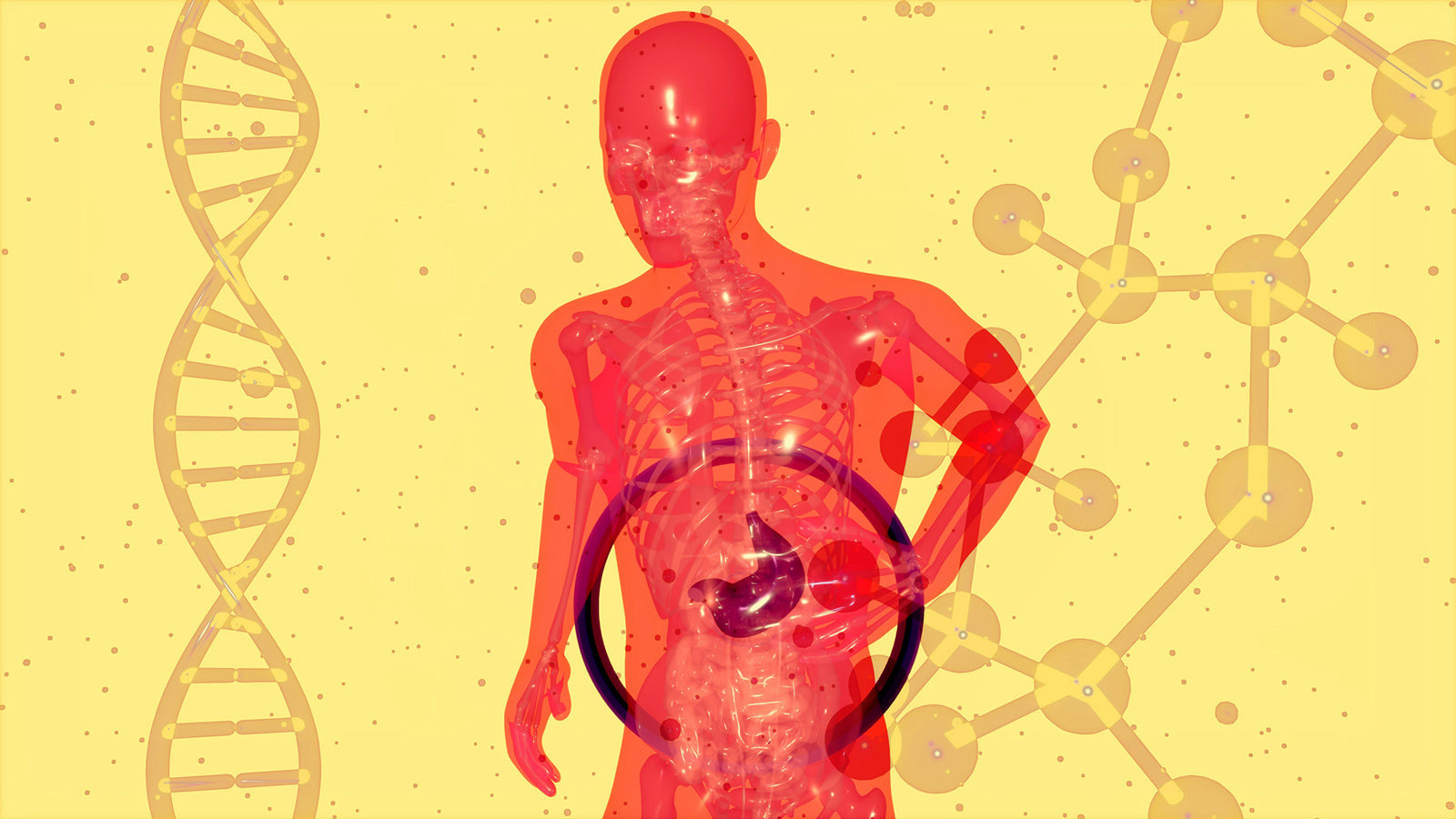 The Complete Guide to Digestive Health: Signs Your Digestion Needs Support