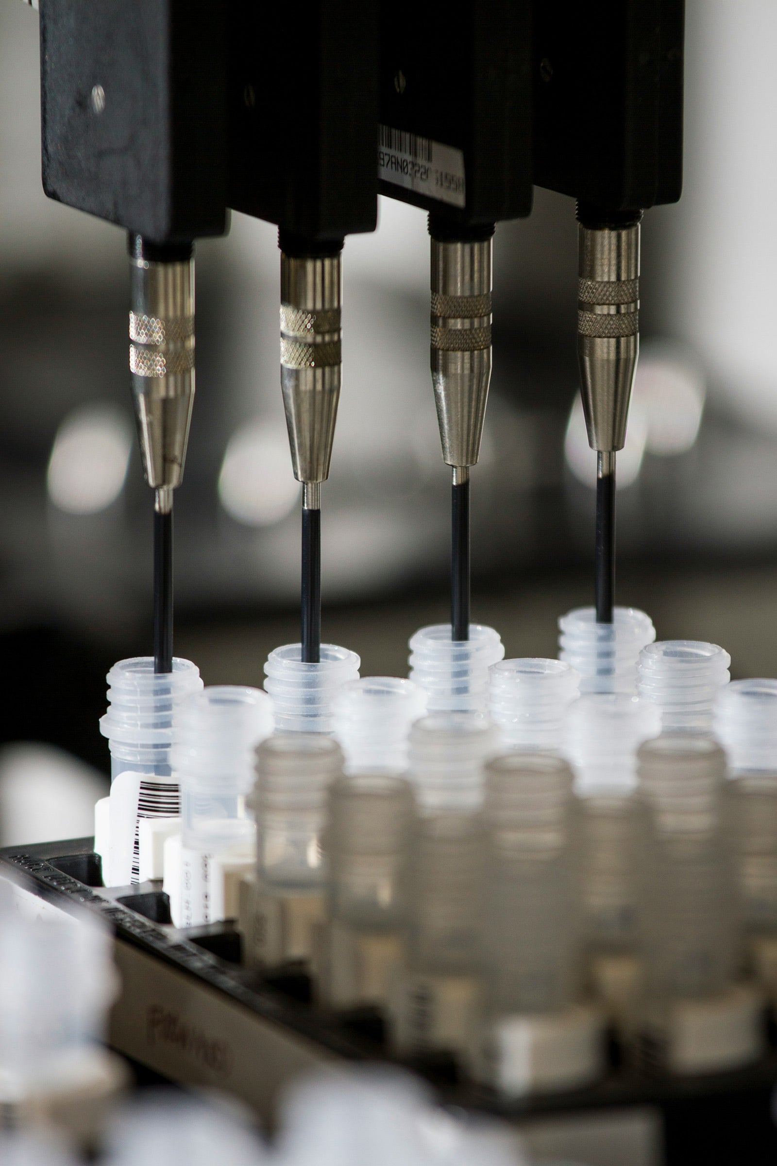 Clinical Studies on Digestive Enzymes: What the Science Shows