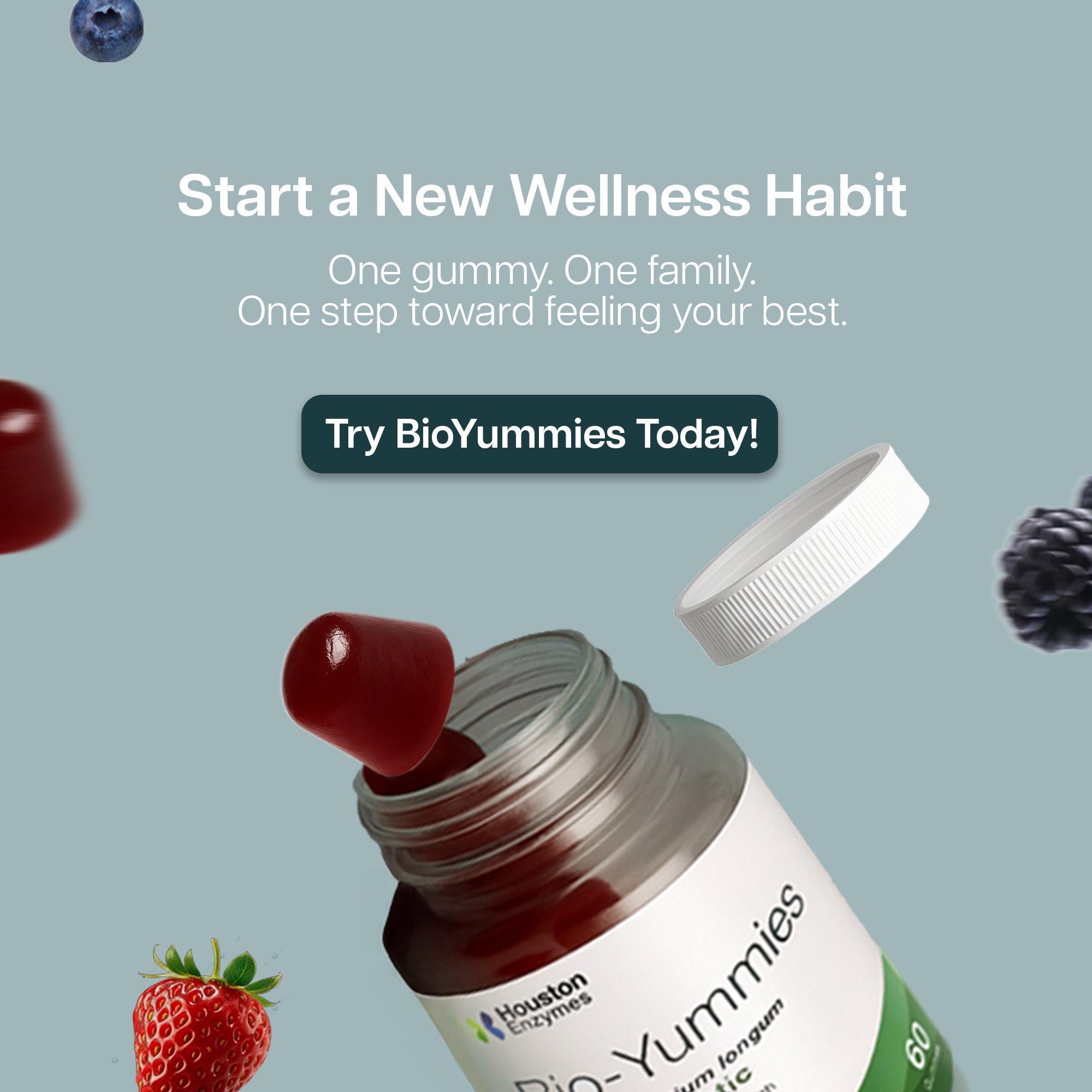 BioYummies - NEW! – Houston Enzymes